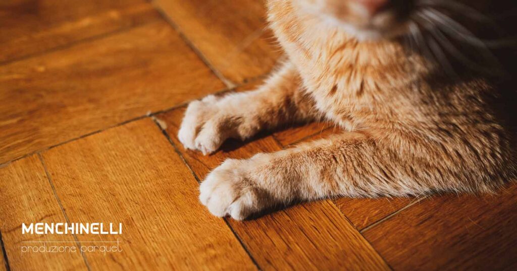 parquet e animali