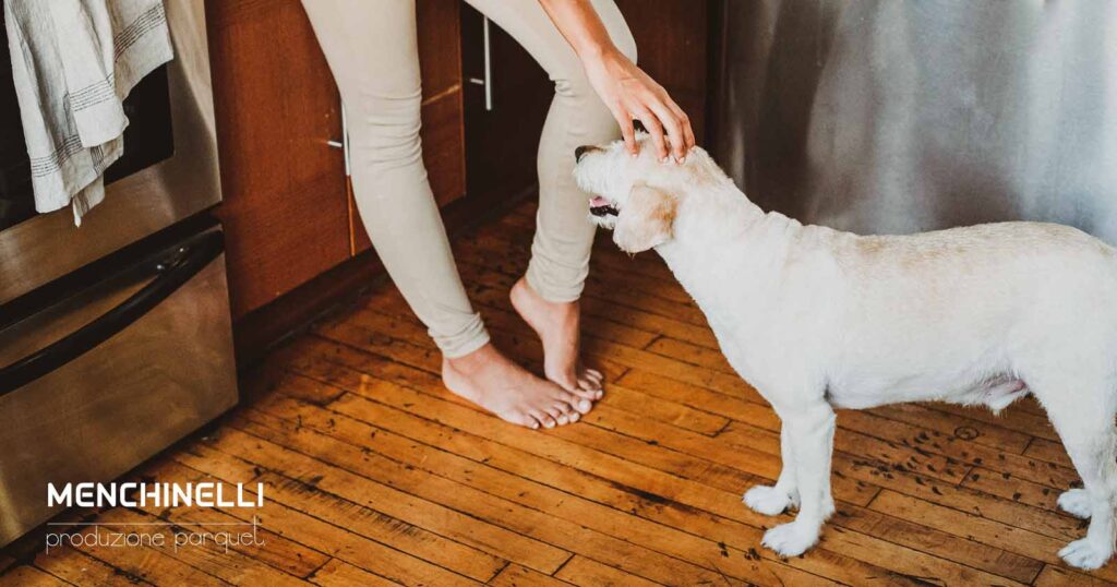 parquet e animali
